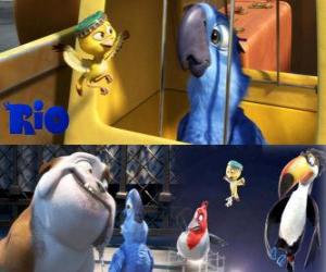 yapboz Blu boyunca diğer karakterler ile film Rio